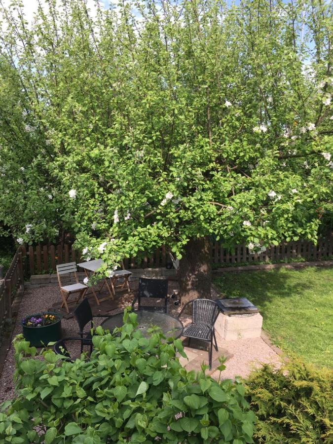 Vivans Bed And Self Catering Kristianstad Bagian luar foto