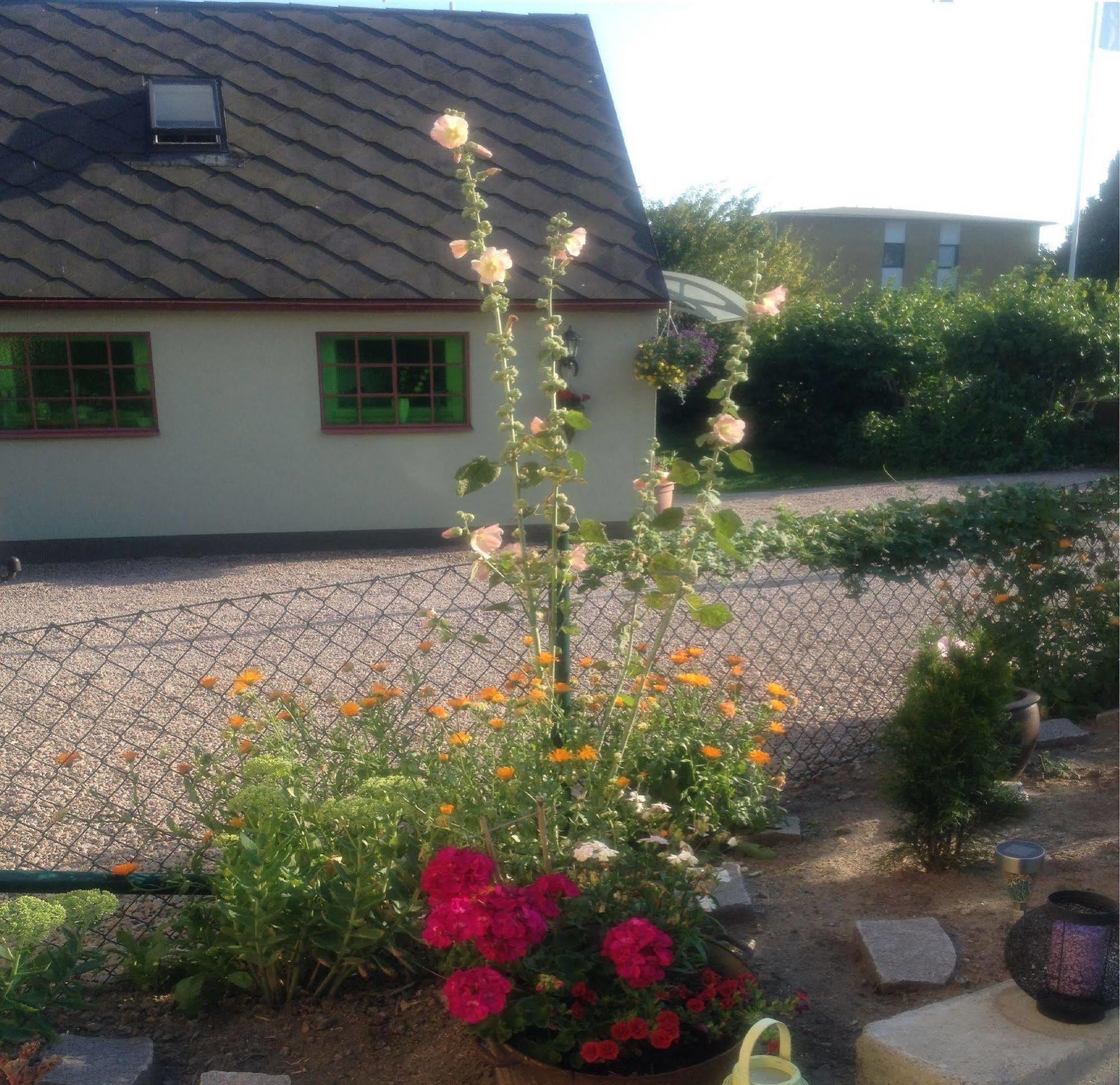 Vivans Bed And Self Catering Kristianstad Bagian luar foto